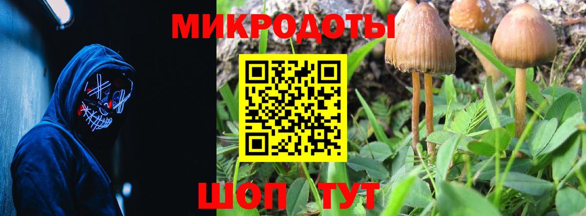 Псилоцибиновые грибы MAGIC MUSHROOMS Свободный