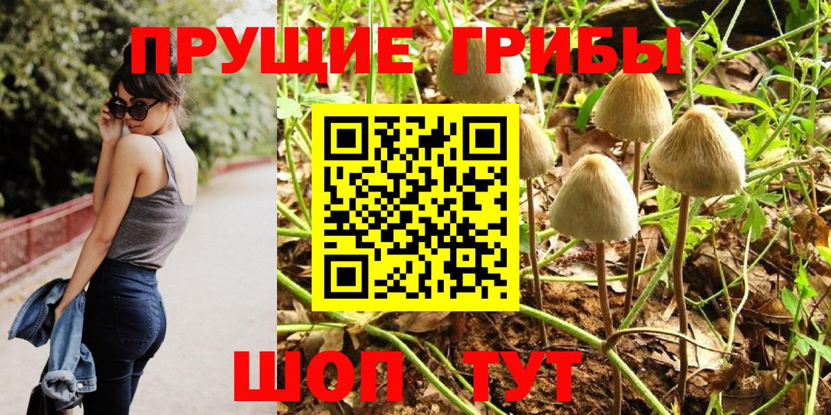 Свободный  Псилоцибиновые грибы мухоморы  Вход с VPN 